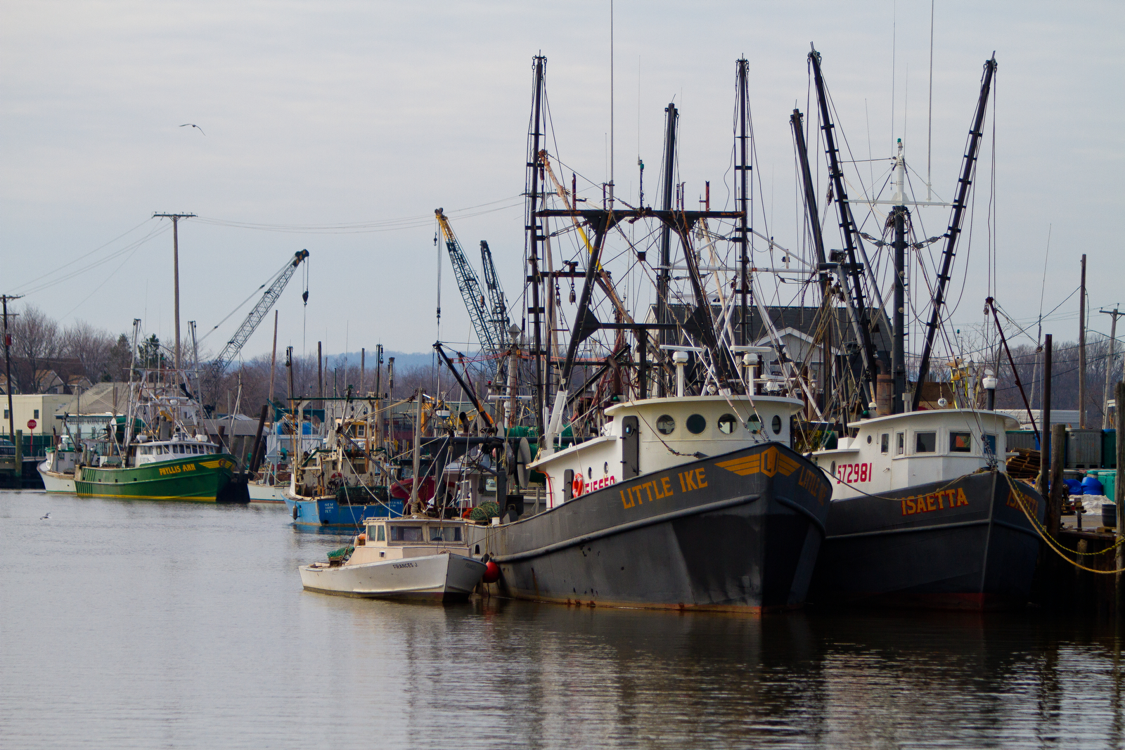 Belford Seafood Harbor : Michael J. Treoal Photography